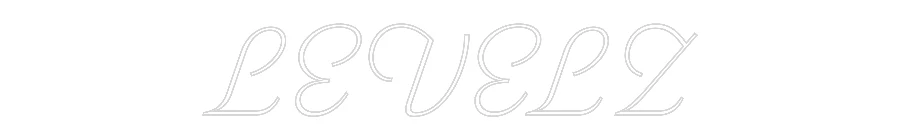 Custom Neon: LEVELZ - Image 2