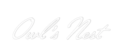 Custom Neon Sign: Owl's Nest - Image 2