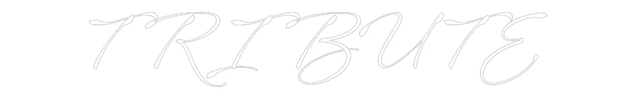 Custom Neon: TRIBUTE - Image 2