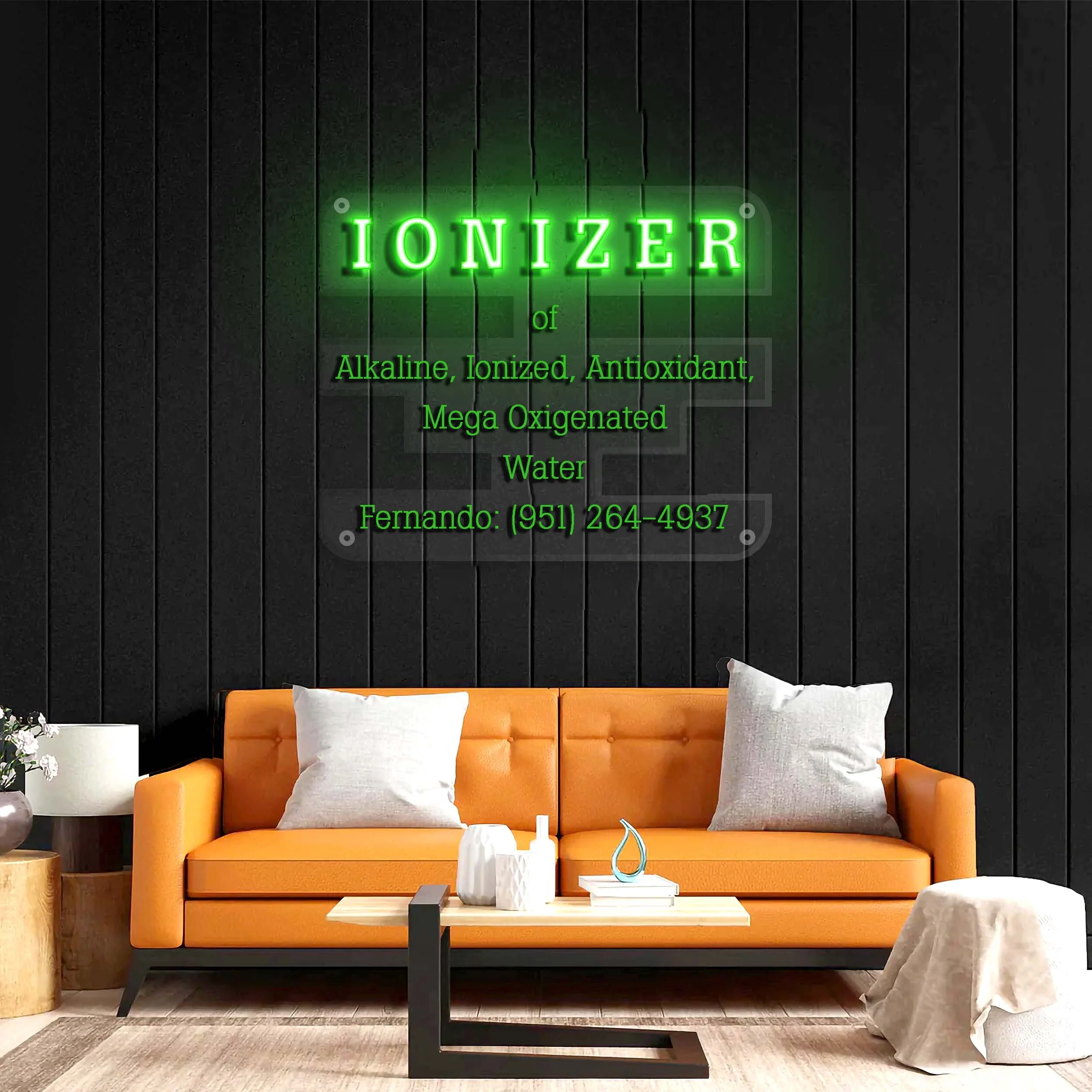 IONIZER - Premium Neon Artwork